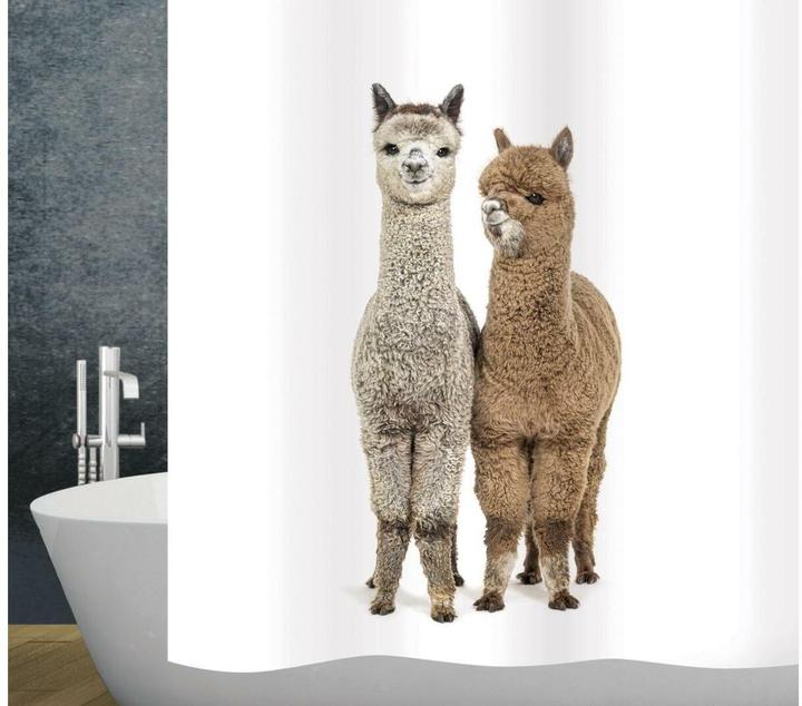 Image du produit Diaqua Paco (120 x 200 cm)