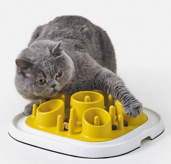 Productafbeelding Savic Huisdier Enigma Medium 11