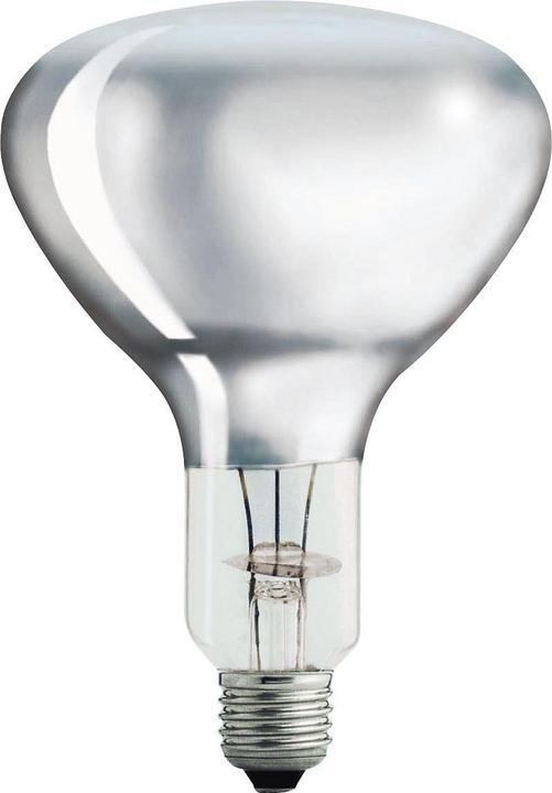 Image du produit Philips 22315 Lampe en verre trempé (150 W)