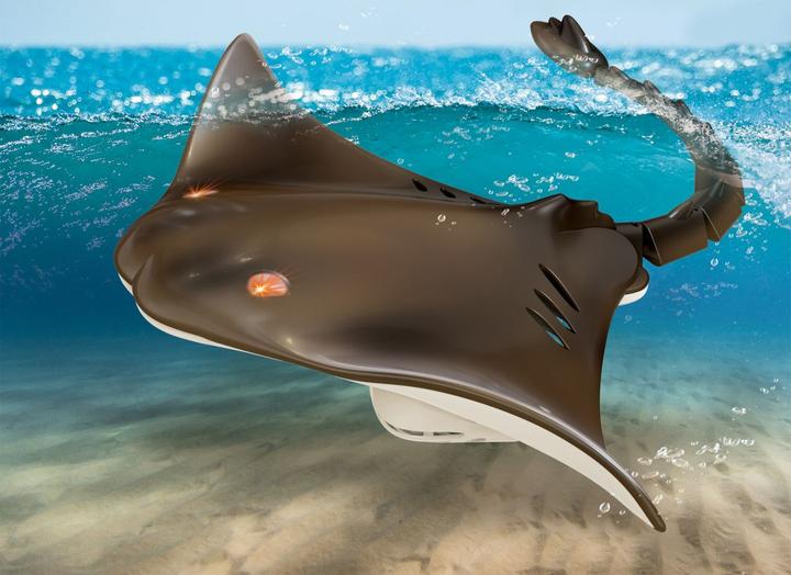 Actual product image Totally Tech RC Stingray 2.4 Ghz with light