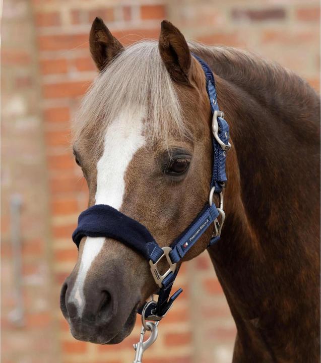 Actual product image Premier Equine Halter with fleece insert