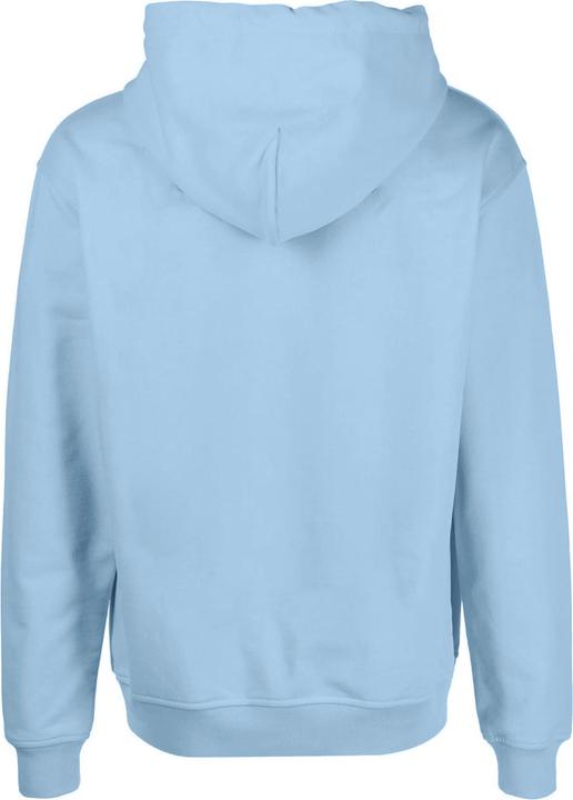 Produktbild Anthem Kapuzenpullover (L)