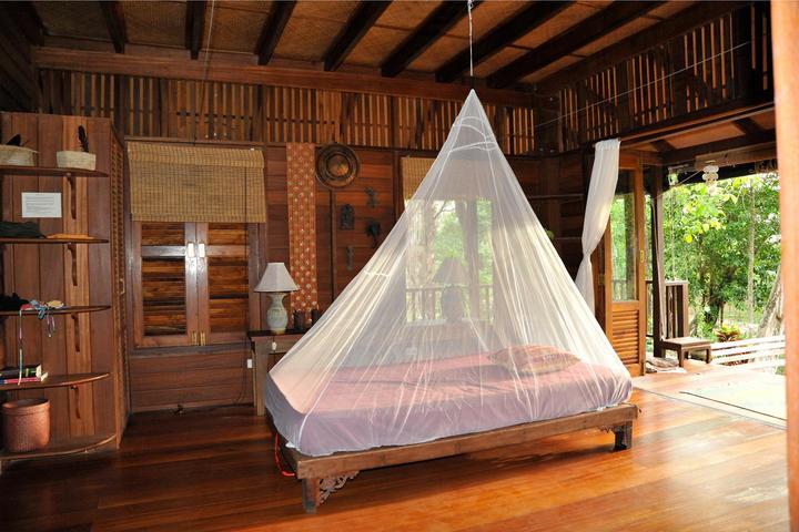 Actual product image Cocoon Mosquito Travel Net Double