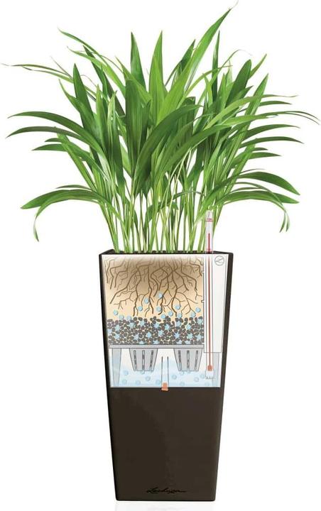 Produktbild Lechuza Cubico (50 cm)