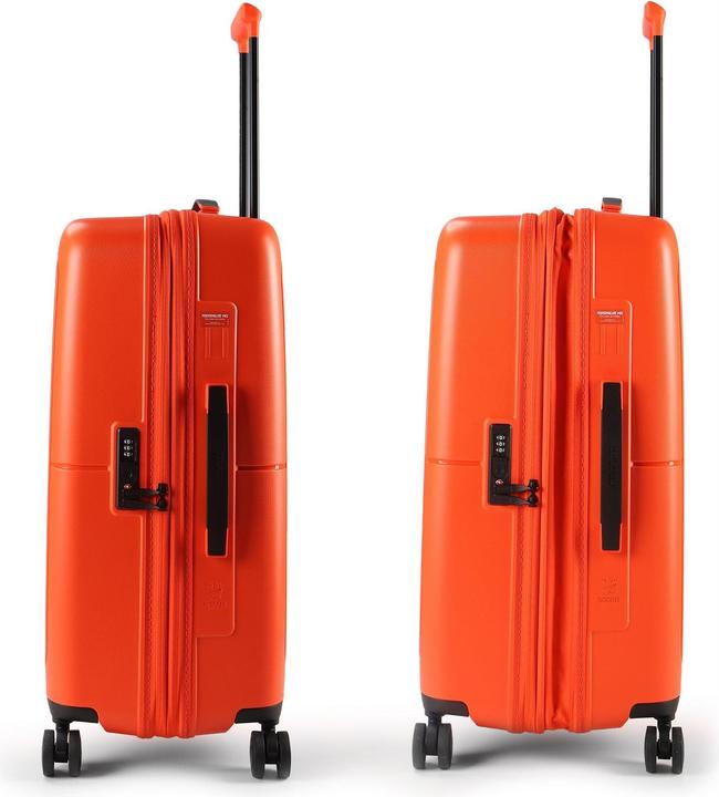 Actual product image American Tourister Dashpop Spinner (76 l)