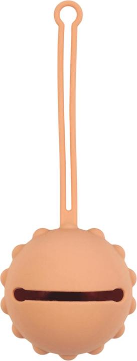 Image du produit Nattou Bote  sucette (1 x, jusqu'à 6 M.)