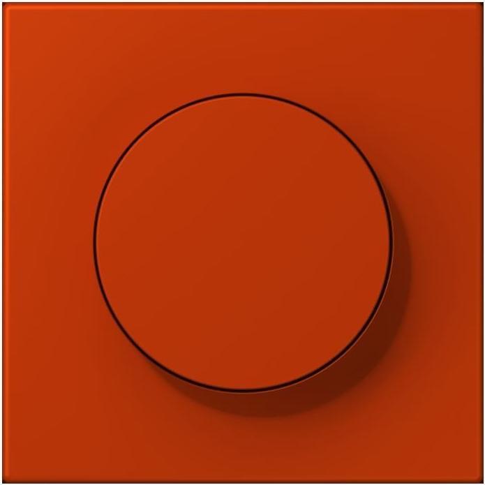 Actual product image JUNG Cover