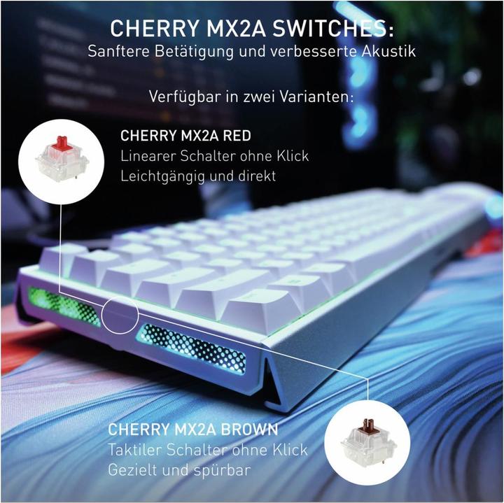 Actual product image CHERRY XTRFY TAS MX 3.1 RGB Corded (DE) MX2A Brown w (DE, Cable)