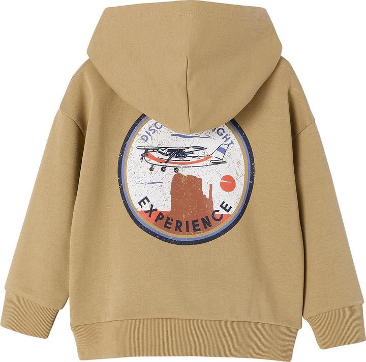 Produktbild Vertbaudet Jungen Kapuzensweatshirt mit Motorflugzeug-Print (158, 164)