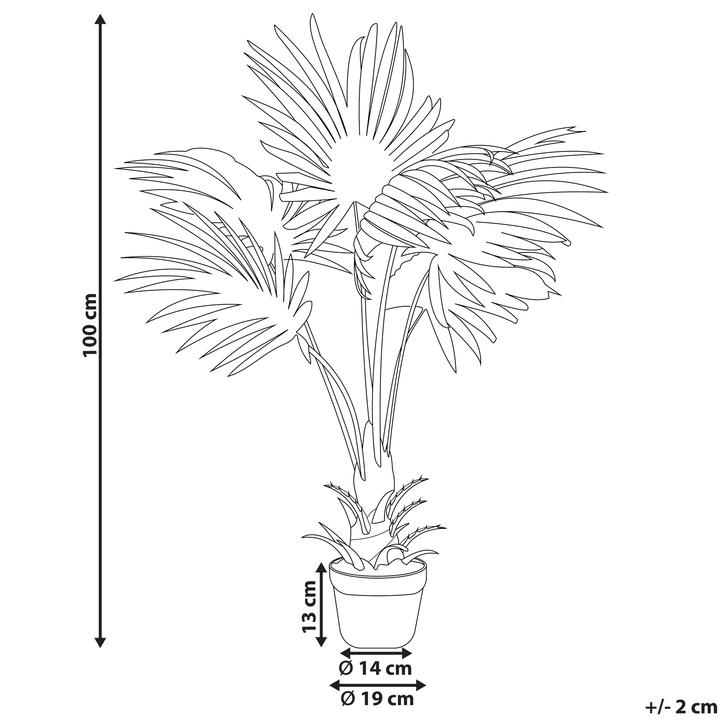 Immagine prodotto Beliani Fan Palm (100 cm)