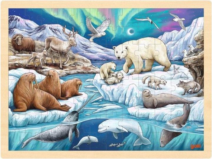 Goki Inlay Puzzle Polar Night 96 pieces (96 Piece)