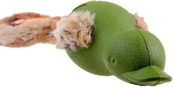 Immagine prodotto GiGwi canard (Reperimento, Cucciolata di cane giocattolo)