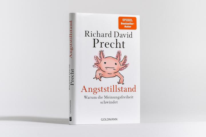 Actual product image Angststillstand (German, Richard David Precht, 2025)
