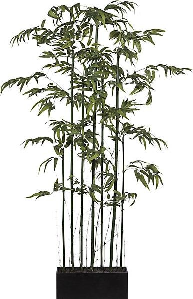 Actual product image kaiserkraft Bamboo partition, with natural stalk and in a wooden box, overall height 1800 (180 cm)