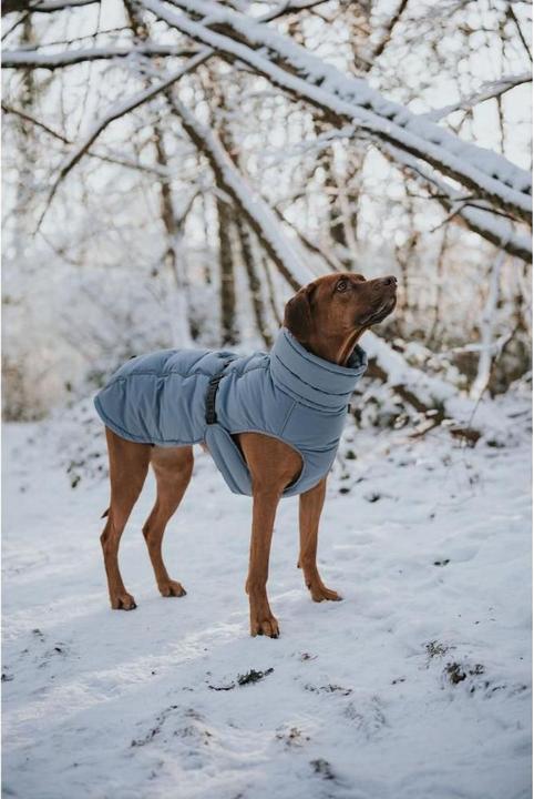 Image du produit Hunter Dogcoat Paxson 35, bleu - (203461) (35, Manteau pour chien)