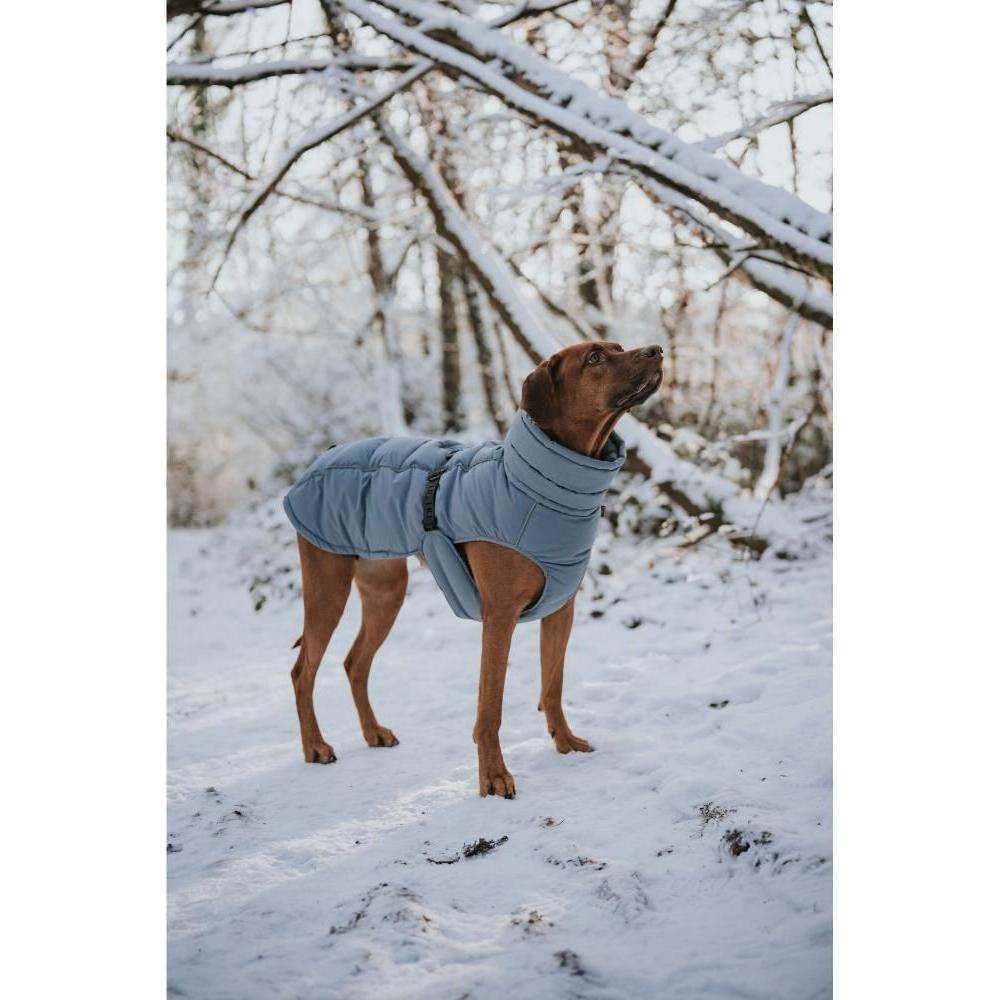 Thumbnail - Hunter Dogcoat Paxson Pug & Fr Bulldog 40, blue - (203522) (40, Hundemantel), Hundebekleidung