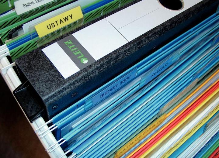 Actual product image Leitz Rb50 (A4, 50 mm, 1 pcs.)