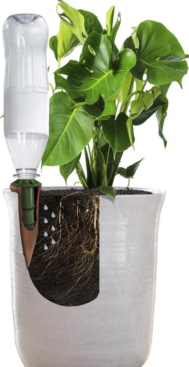 Produktbild Bio Green Adapter für PET Flaschen für Hydro Wine - 4er Set