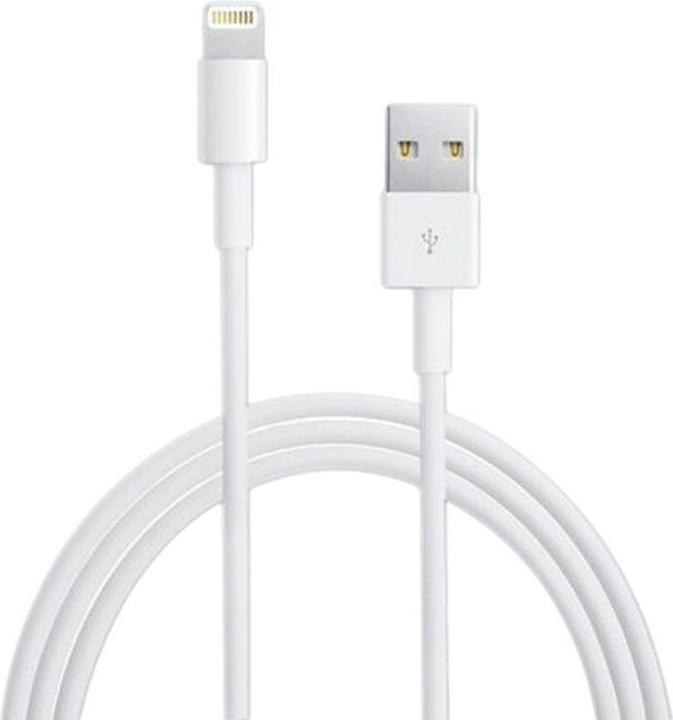 Actual product image ExtraStar Lighting USB Cable (USB-A)