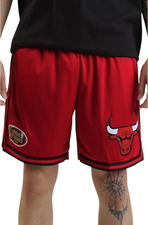 Actual product image Mitchell & Ness Short with Chicago Bulls logo (XL)