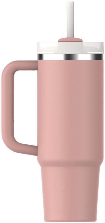 Peach Rose, Pink, Rosa