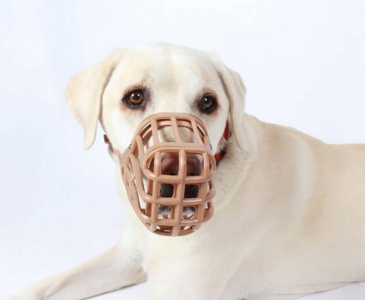 Produktbild Company of Animals Baskerville (Hund, Allgemein)