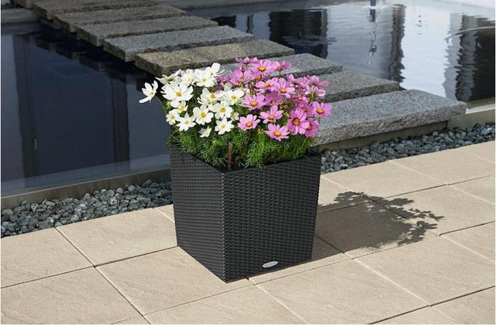 Actual product image Lechuza Cube Cottage (39 x 39 x 40 cm)