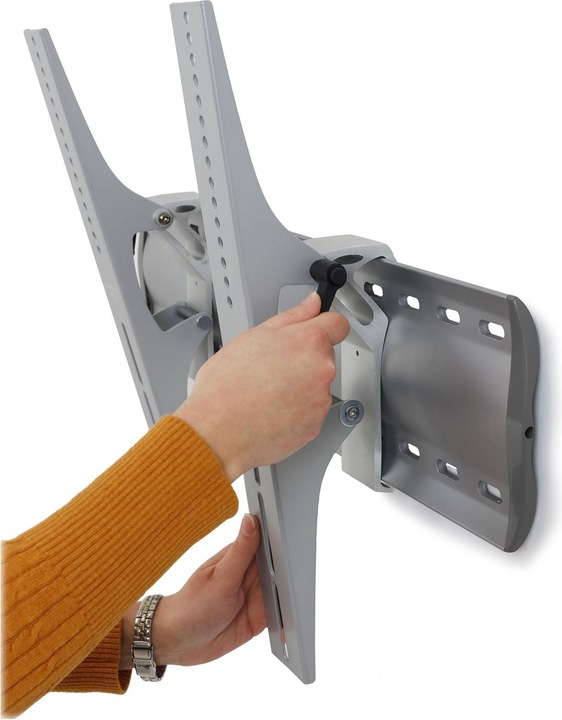 Actual product image Ergotron Tilting Wallmount (Wall, 32")