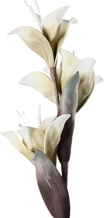 Actual product image EGLO LIVING Molave (85 cm)