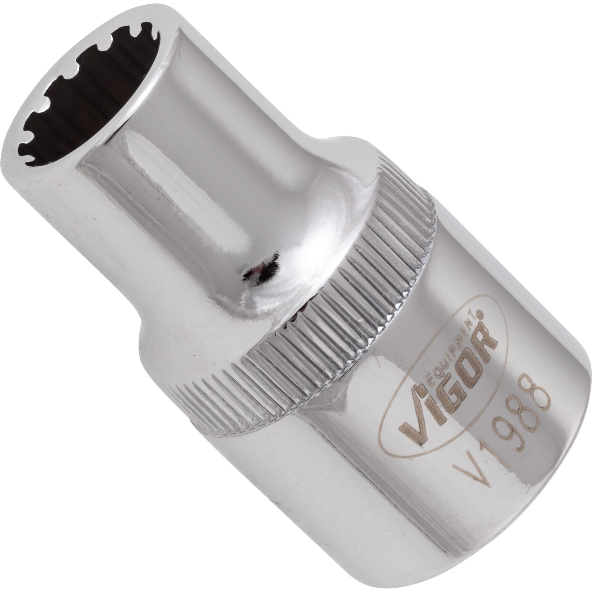 Vigor, Steckschlüssel + Stecknuss, Multiprofil Steckschlüsseleinsatz ∙ V1988 ∙ Vierkant12,5 mm (1/2 Zoll) ∙ Multiprofil ...