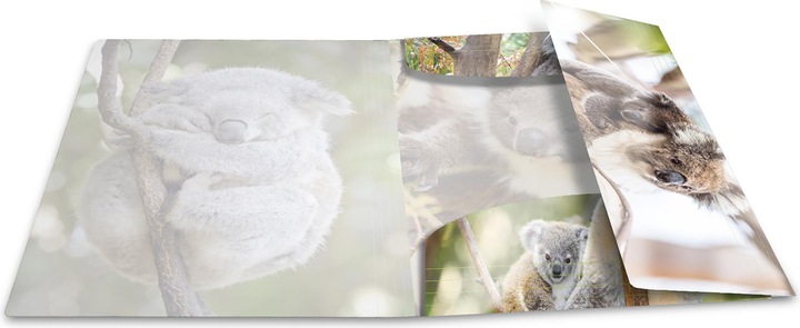 Actual product image Herma A3 motif folder (A3, 1 x)