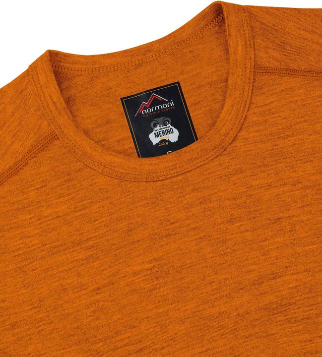 Actual product image Normani Herren Merino T-Shirt Darwin (M)