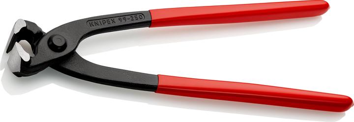 Actual product image Knipex Monierzange (250 mm)