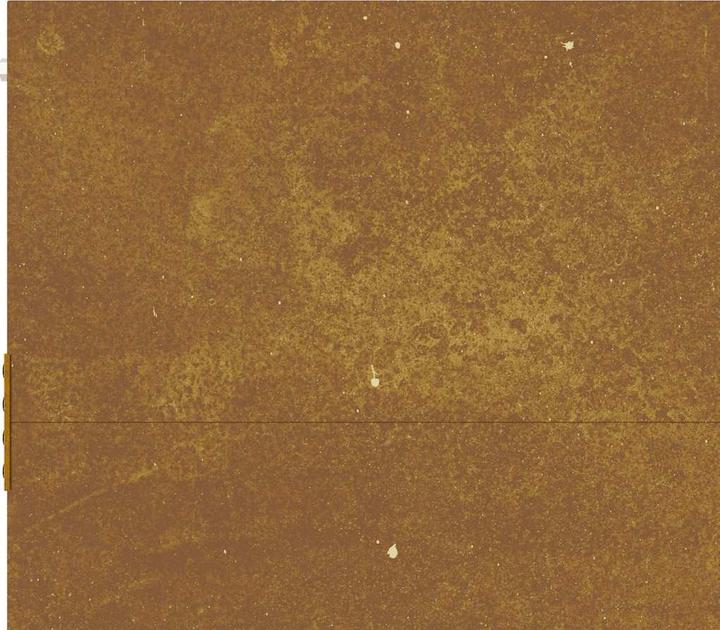 Produktbild vidaXL Gartentor