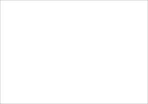Produktbild Rnk Karteikarten blanko A8 (A8, 205 g/m², 100 x)