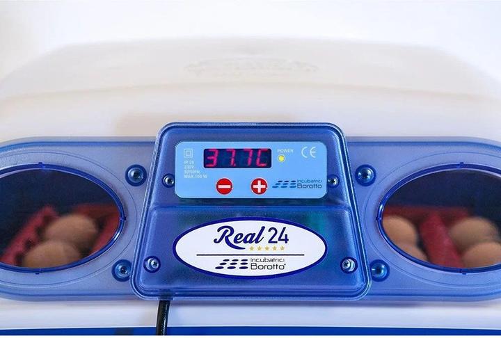Actual product image Borotto Real 2 automatic incubator