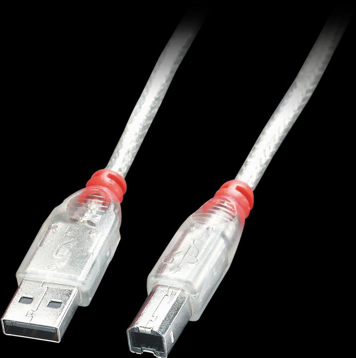 Actual product image Lindy USB 2.0 cable type A/B (0.50 m, USB 2.0)