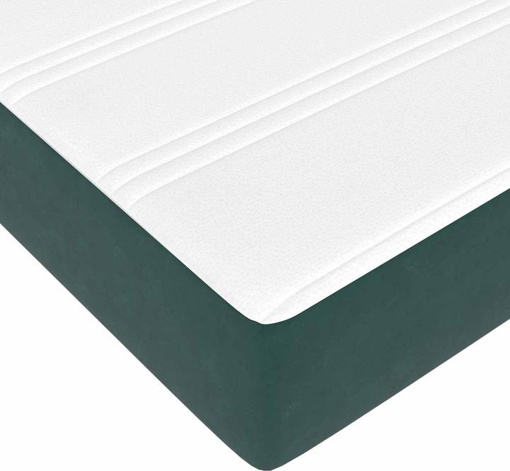 Image du produit vidaXL Boxspringbett (120 x 190 cm)