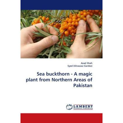 Sea buckthorn - A magic plant from Northern Areas of Pakistan, Fachbücher von Syed Dilnawaz Gardezi, Asad Shah