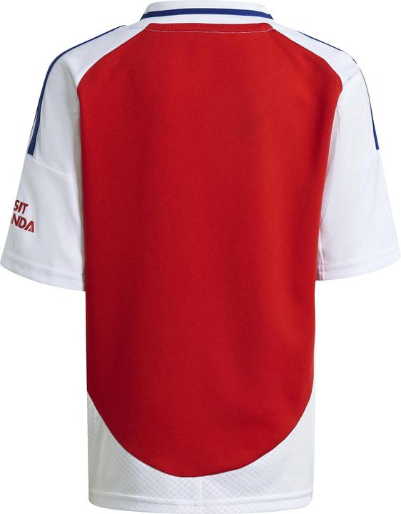 Image du produit adidas Jeu de maillots d'Arsenal Londres pour jeunes enfants (110)