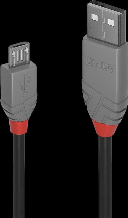 Immagine prodotto Lindy Anthra Line (3 m, USB 2.0)