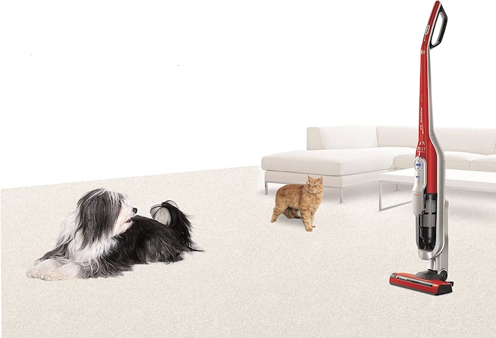 Produktbild Bosch Hausgeräte Athlet Zoo'o BCH6ZOOO