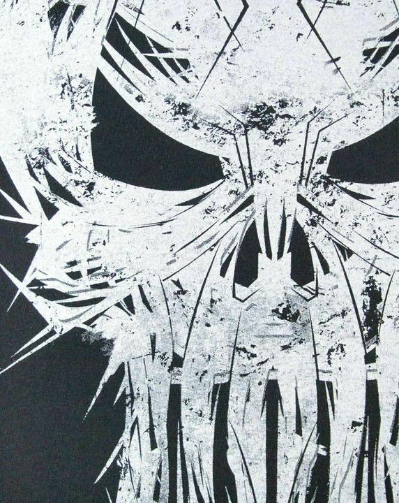 Actual product image The Punisher Womens/Ladies Logo T-Shirt (XXL)