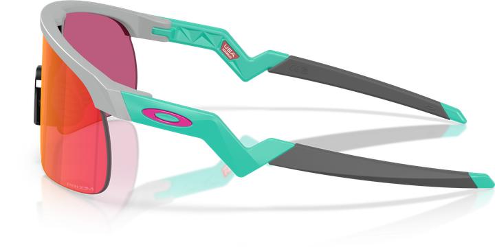 Produktbild Oakley Resistor (MATTE FOG, prizm field)