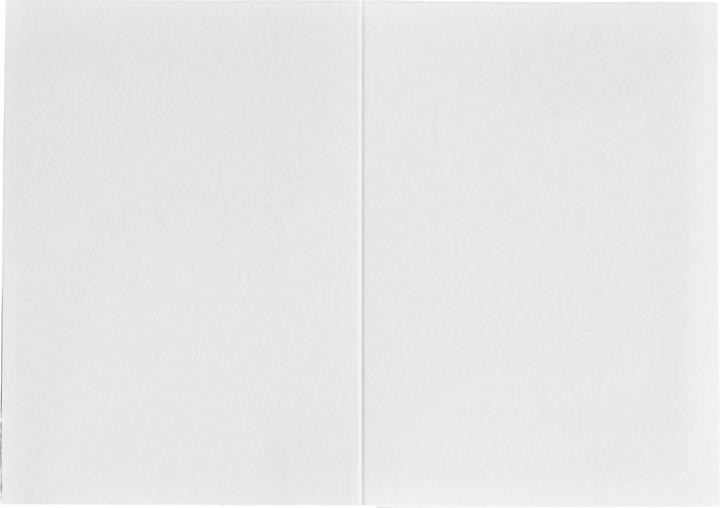 Productafbeelding Daiber 1x100 pasfotomappen 45x65 mm (4,5 x 6,5 cm)