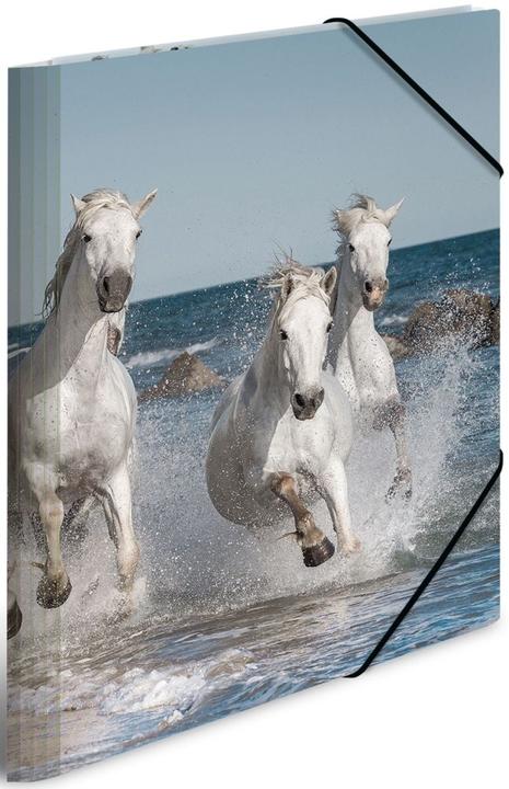 Produktbild HERMA Sammelmappe A3 Motiv (A3, 1x)