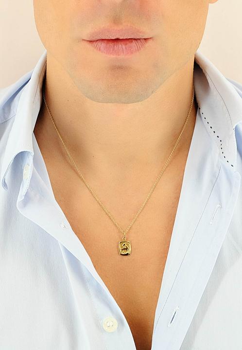 Image du produit Muau Capricorne (Or jaune 750/18K)