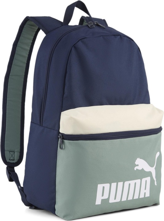 Puma PHASE COLOR BLOCK Backpack (22 l)