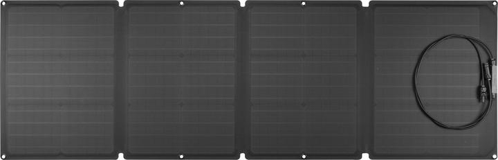Immagine prodotto EcoFlow Pannello solare (110 W, 4 kg)