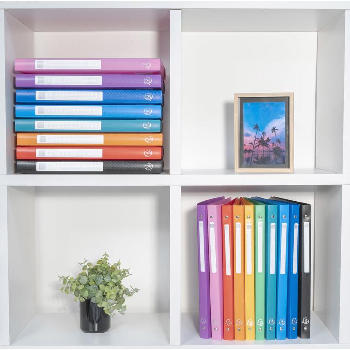 Actual product image Exacompta Ring binders (A4, 20 mm, 1 pcs.)